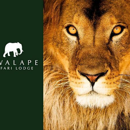 Kwalape Safari Lodge Касане Екстериор снимка